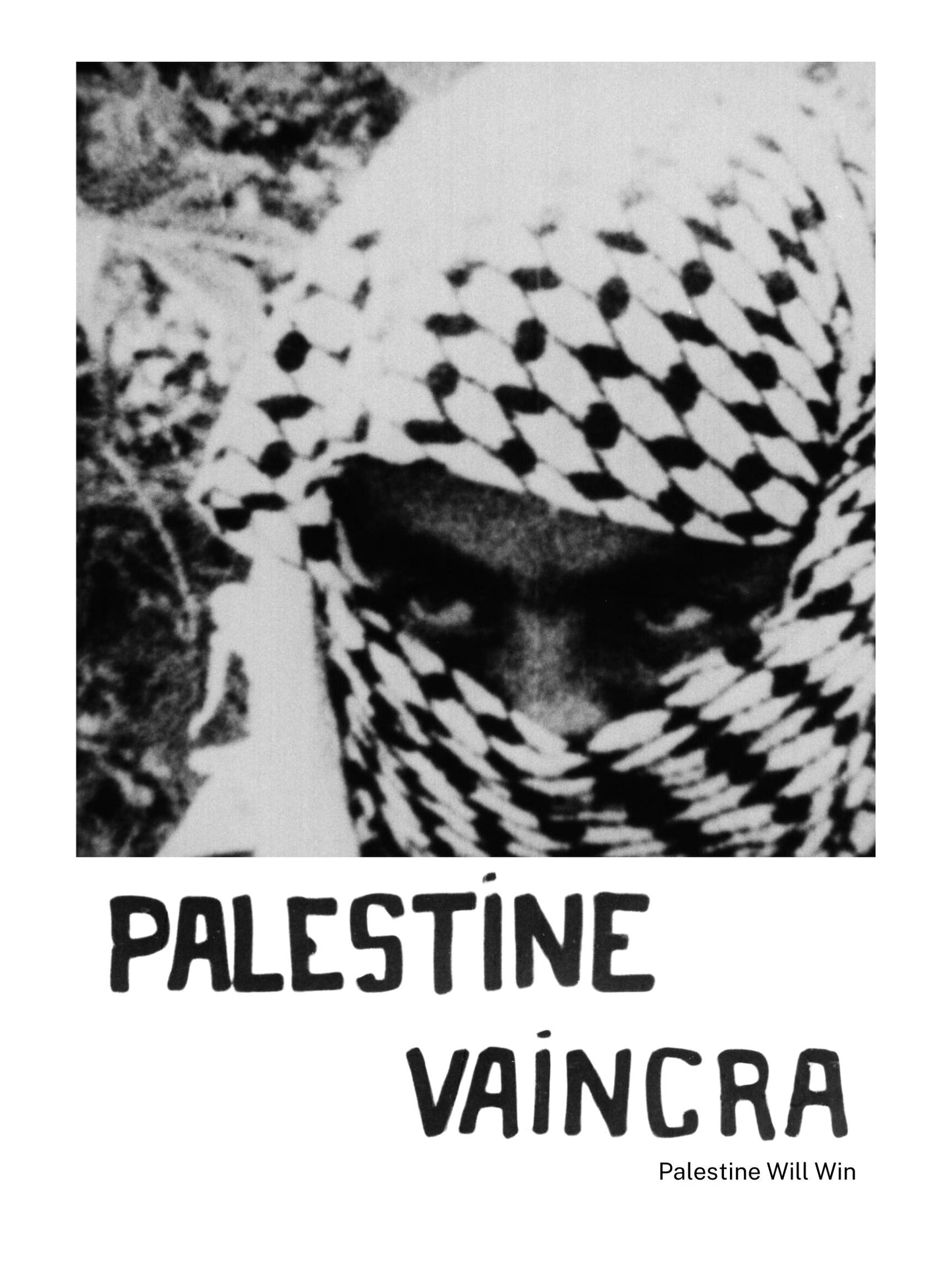 Palestine Vaincra (Palestine Will Win)