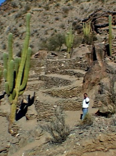 The Quilmes According to Miguel Mamani