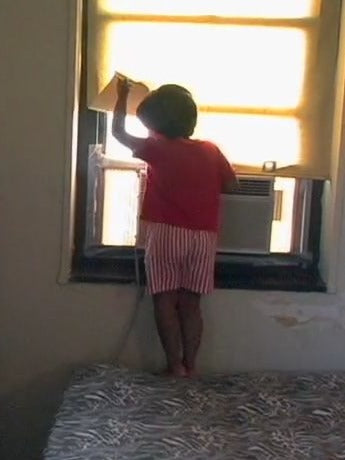 Rising Up: the Alams