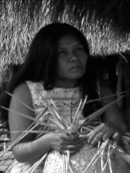 The Cry of the Forest