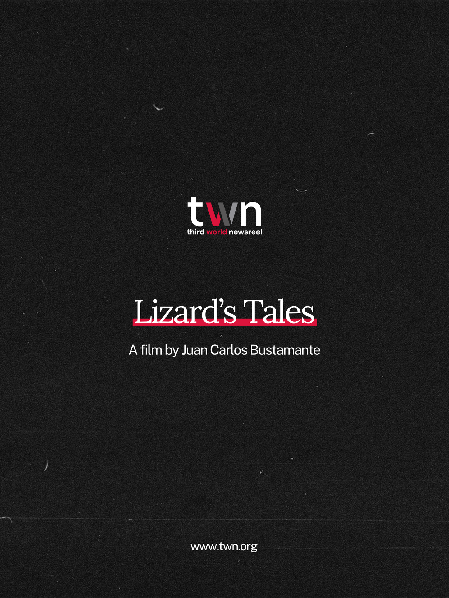 Lizard's Tales