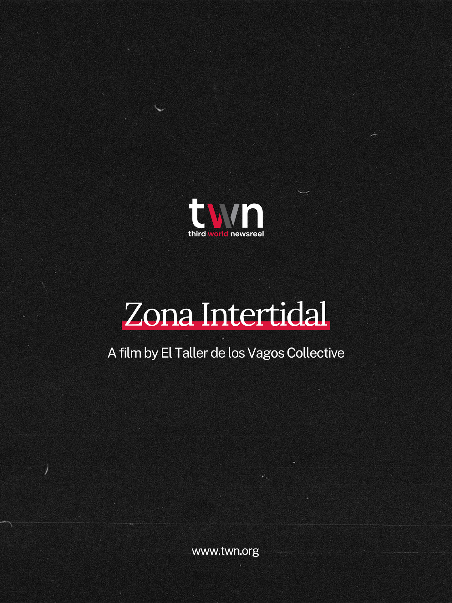 Zona Intertidal