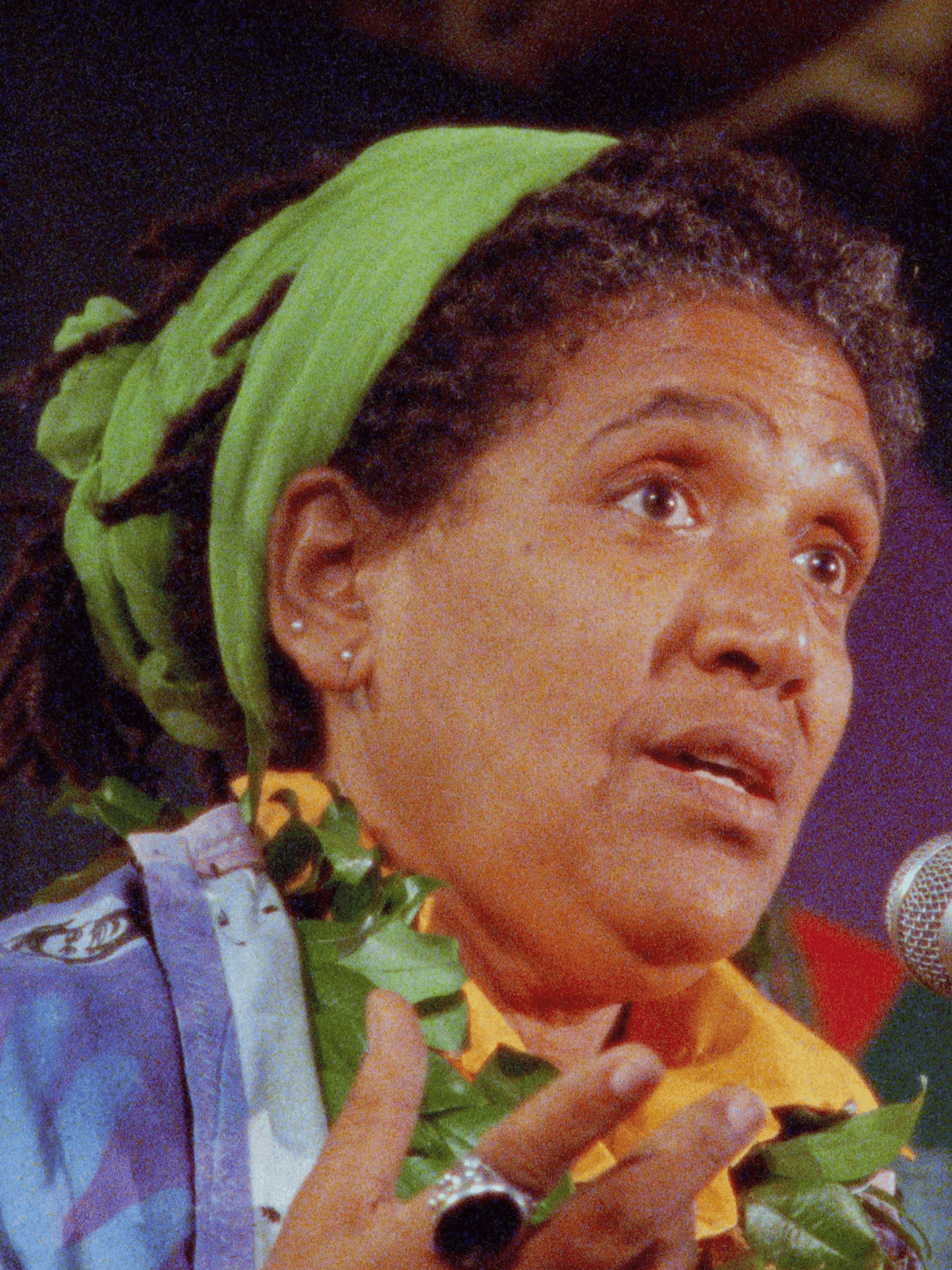 A Litany For Survival: the Life and Work of Audre Lorde (90)