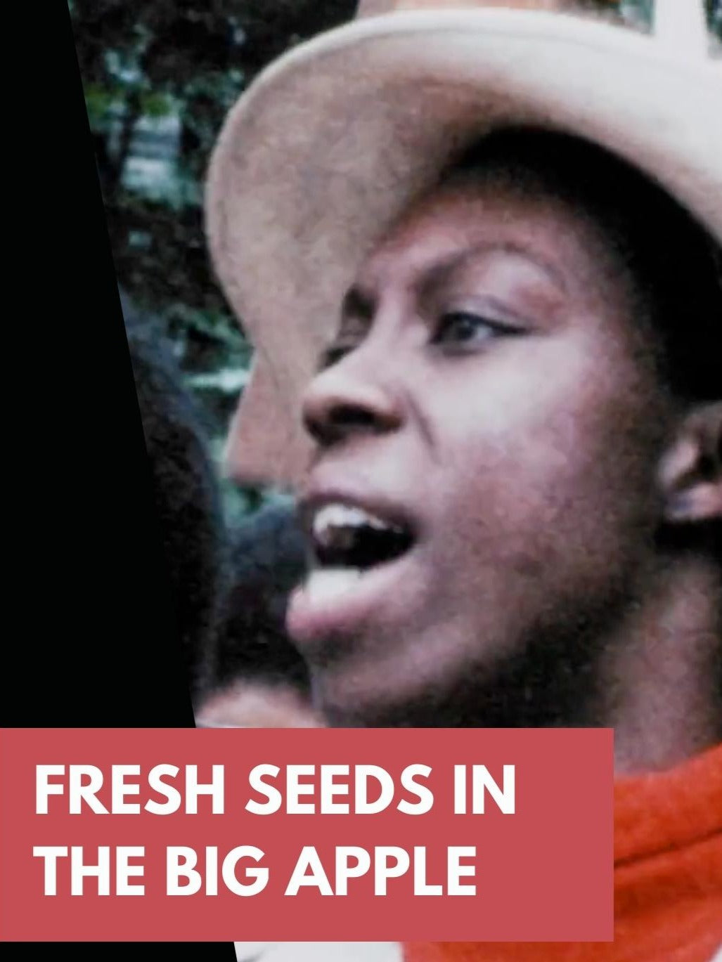 Fresh Seeds in The Big Apple